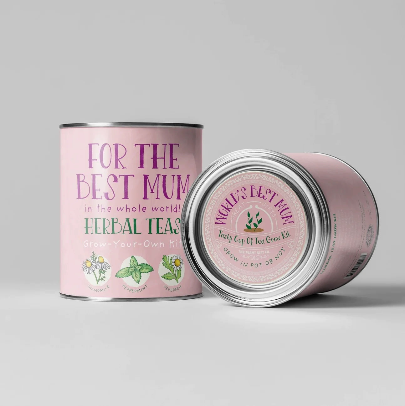 For The Best Mum - Grown Your Own Tea Kit