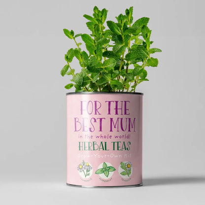For The Best Mum - Grown Your Own Tea Kit