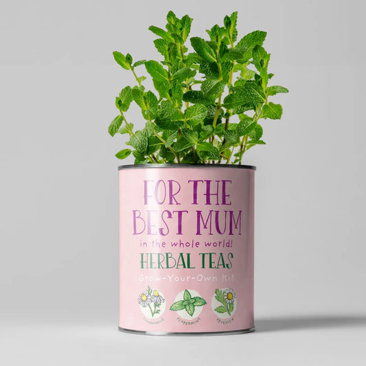 For The Best Mum - Grown Your Own Tea Kit